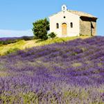pixwords solution PROVENCE